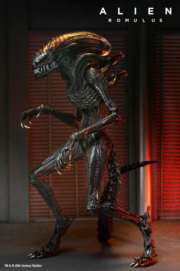 Alien: Romulus Action Figure & Accessory Set Bundle - NECA Supply