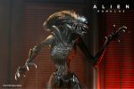 Alien: Romulus Action Figure & Accessory Set Bundle - NECA Supply