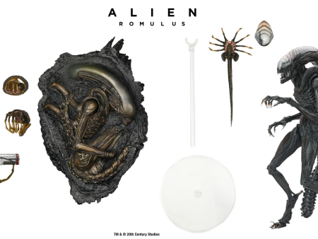 Alien: Romulus Action Figure & Accessory Set Bundle - NECA Supply